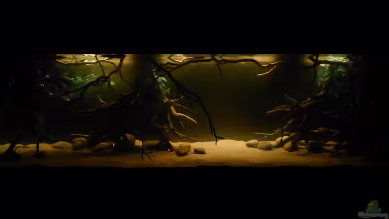 Gesamtansicht nur mit 2m LED-Lichtleiste 09.01.15 von ~Marco~ (8)