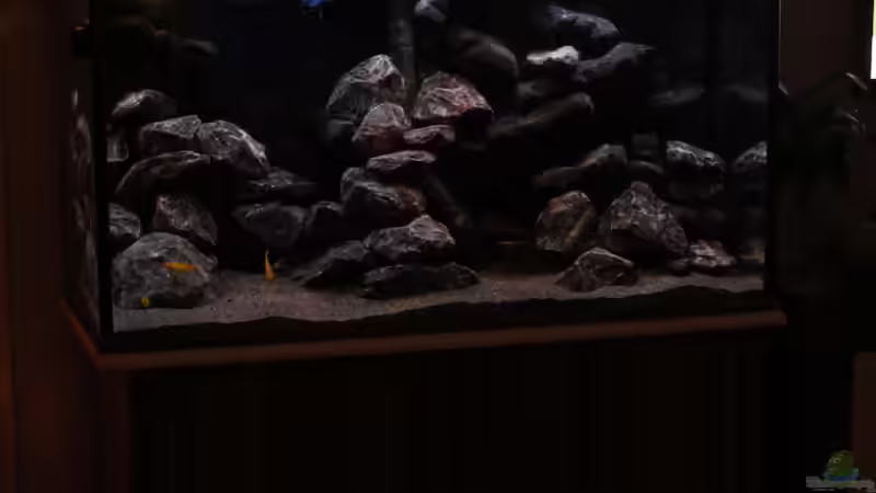 Gesamtansicht ohne Blitz so sieht es Real aus !! von Sergio10 (7)