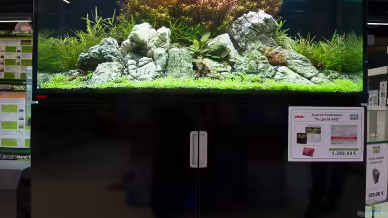 Gesamtansicht Schaubecken Verkaufsraum Kölle Zoo - 02.11.2013 von Koelle-Zoo (6)