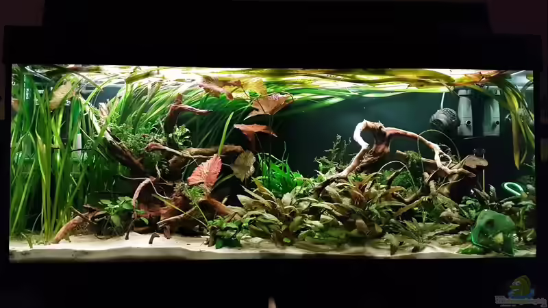 Gesamtansicht Stand 03/2017 von Arne Wilkens (1)