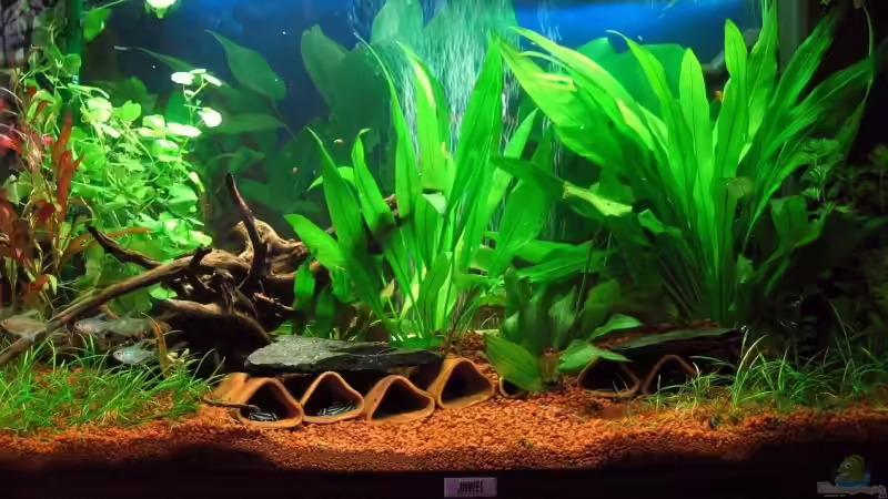 Gesamtansicht Stand 14.03.2008 von Conny (1)