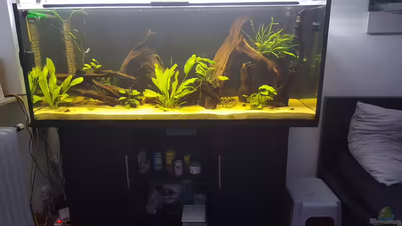 Gesamtansicht-Standort von Johannes L. (11)