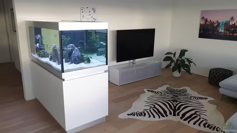 Gesamtansicht Tiefe von Ravy (4)