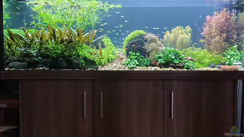 Gesamtansicht v. 21.12.2025 von C-NA (1)