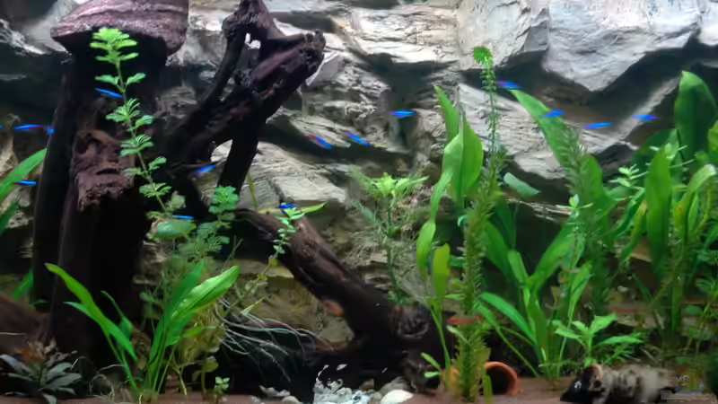 gesamtansicht vom 05.03.12 von marciii1985 (2)