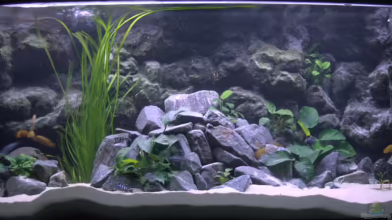 Gesamtansicht vom 12.01.09 (aktuell) von Nina Hutter (8)