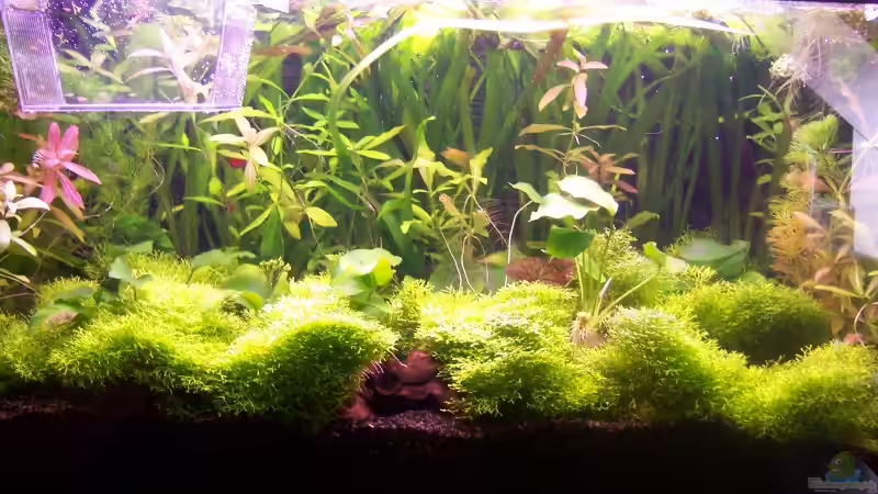 Gesamtansicht vom 21.8.2006 von Sebastian Seibold (2)