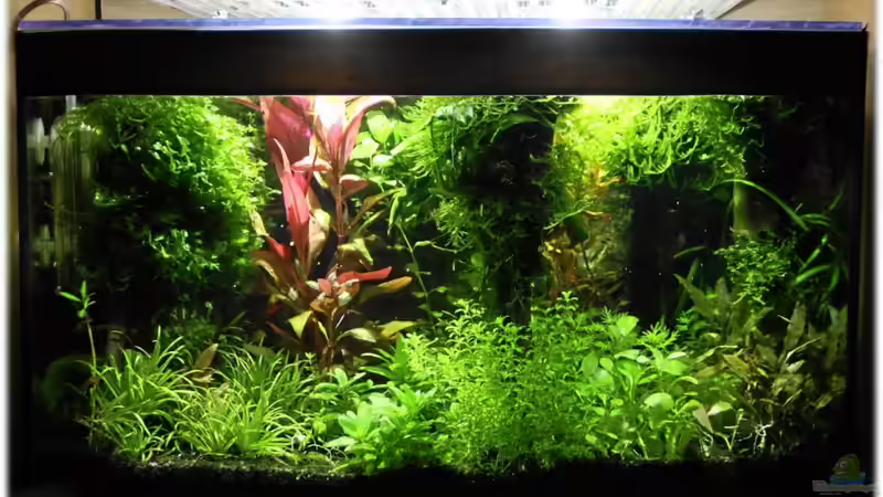 Gesamtansicht vom 29.06.2011 von Ralf64 (10)