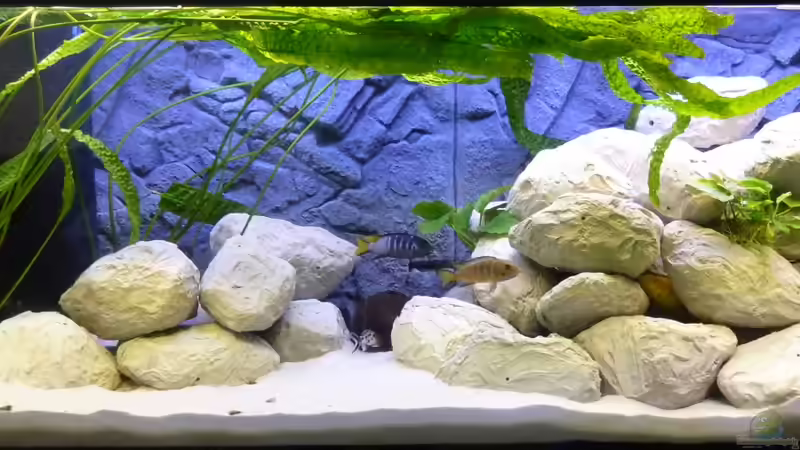 Gesamtansicht vom 30.04.2012 mit neuer Beleuchtung