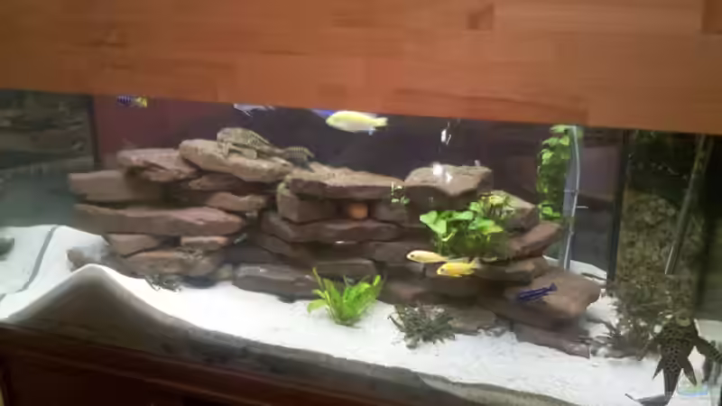 Gesamtansicht vom Becken  von Tobias Seidel (1)