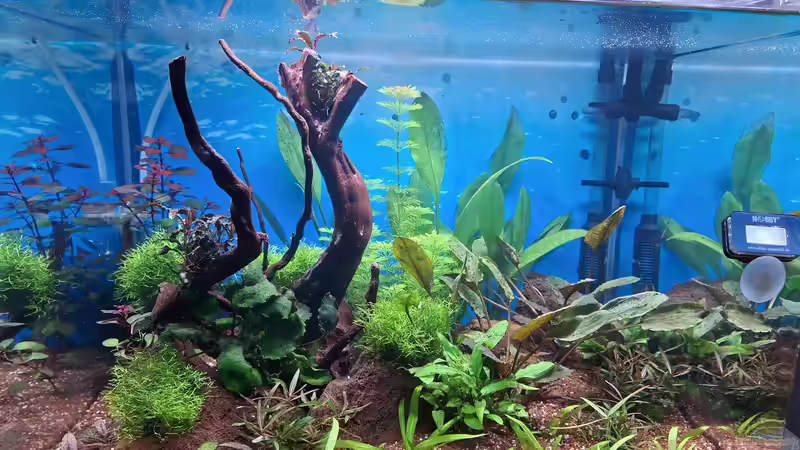 Gesamtansicht vom Oktober 2025 von ernst11 (13)