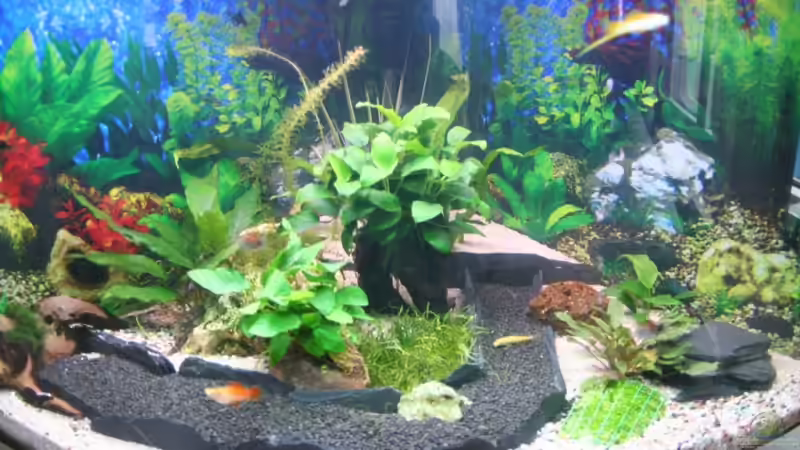 Gesamtansicht von Alexander Engel (2)