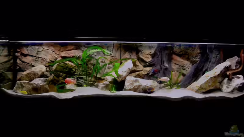 Gesamtansicht von Alexander Siefer (1)