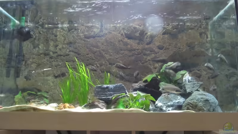 Gesamtansicht von Andreas Gerber (1)