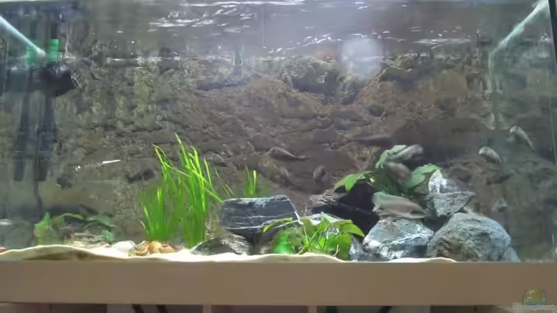 Gesamtansicht von Andreas Gerber (2)