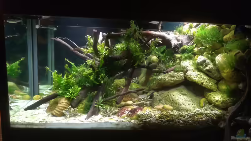 Gesamtansicht von Bermuda 3eck (28)