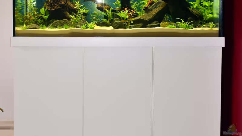 Gesamtansicht von bigbeef (3)