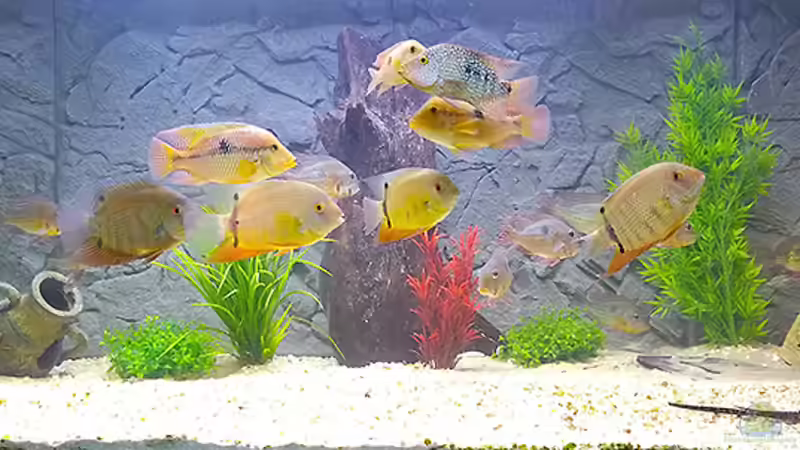 Gesamtansicht von Bjoern Buenger (1)