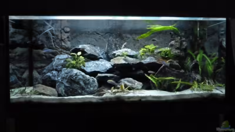 Gesamtansicht von Carsten Peters (1)