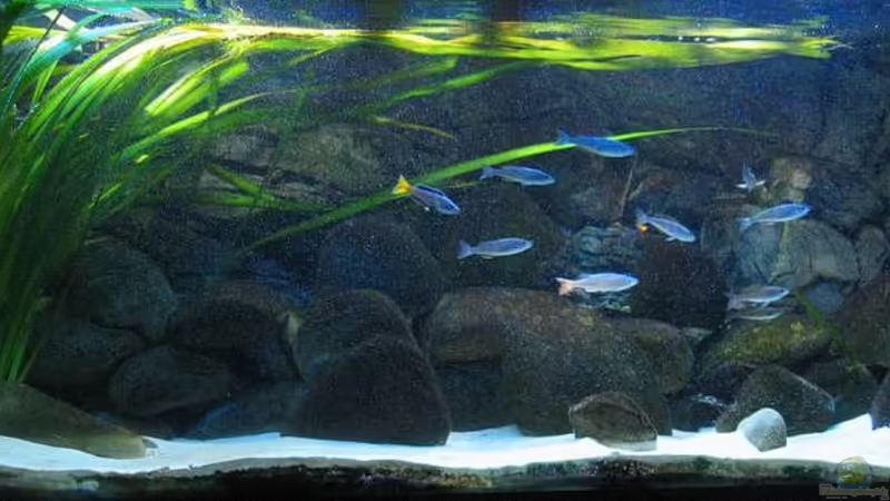 Gesamtansicht von Carsten Ziß (1)