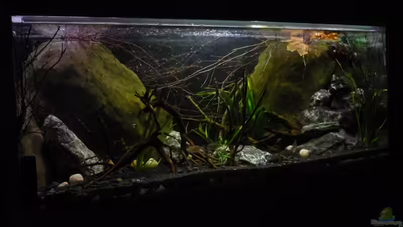 Gesamtansicht von Chris_R. (5)