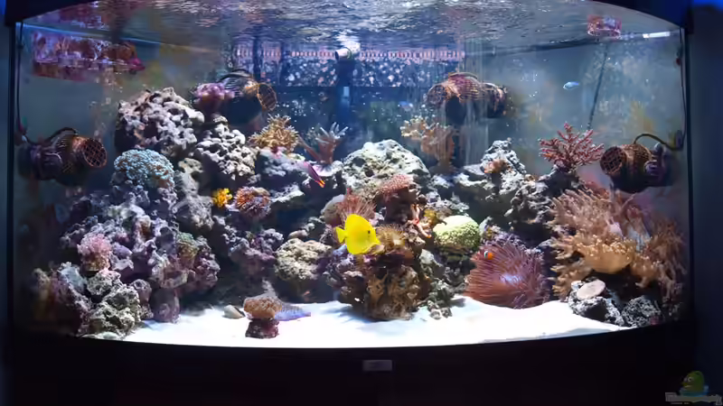 Gesamtansicht von Christian Holtkamp (2)