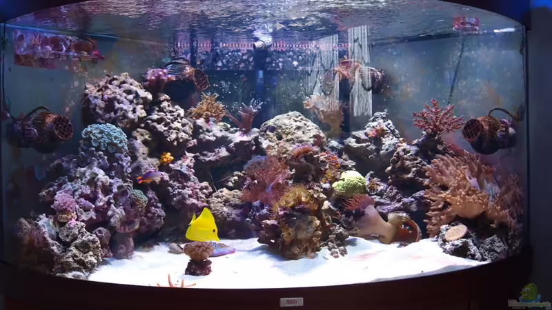 Gesamtansicht von Christian Holtkamp (3)