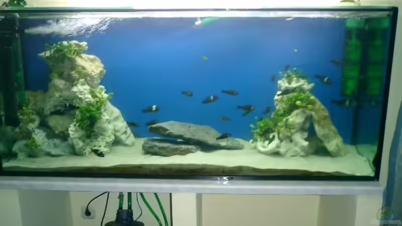 Gesamtansicht von Christian Köster (1)