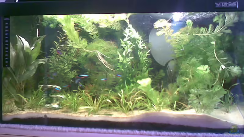 Gesamtansicht von Christiane Raabe (1)