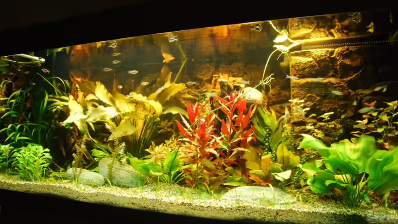 Gesamtansicht von Daniel Monney (1)