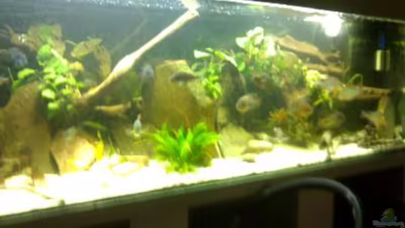 Gesamtansicht von David Breuers (2)