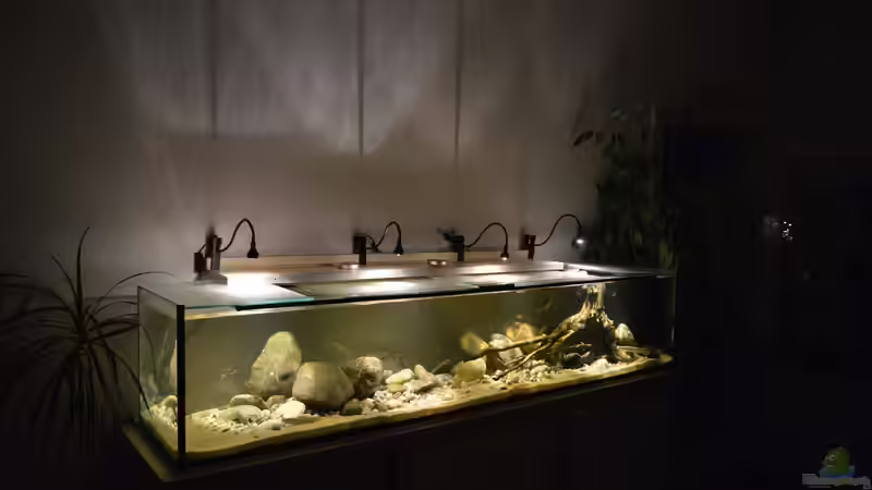 Gesamtansicht von David Breuers (5)