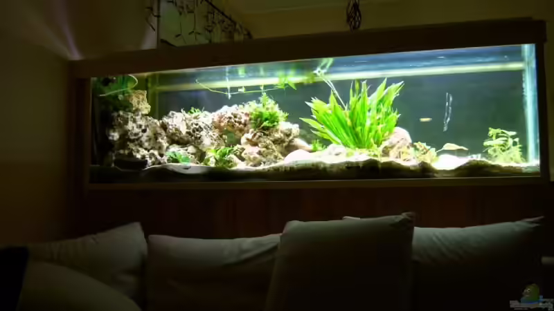 Gesamtansicht von der neuen Umgestaltung von Sandra Ringle und Jörg Buß (7)