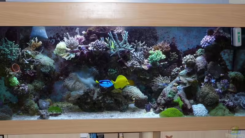 Gesamtansicht von der Preusse (1)