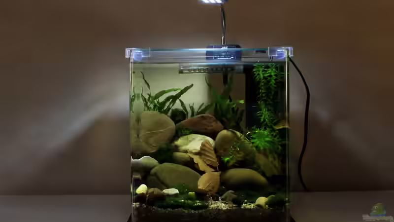 Gesamtansicht von die Perle... (3)