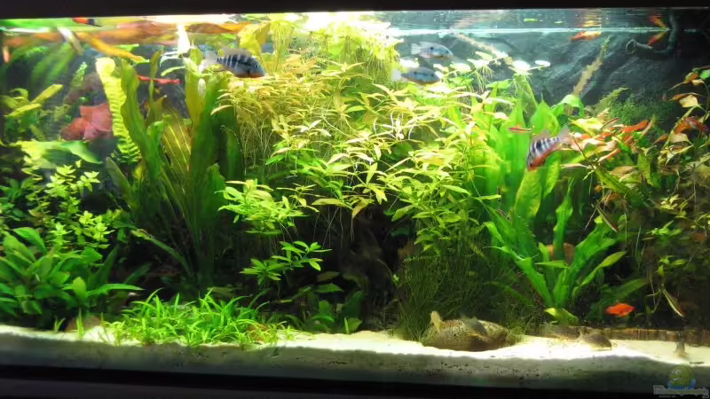 Gesamtansicht von Dirk Meißner (1)