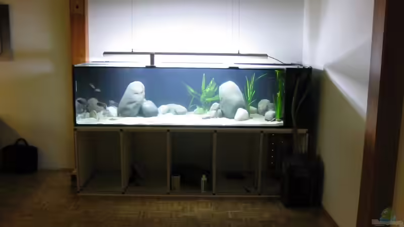 Gesamtansicht von Dominik Steigewald (4)