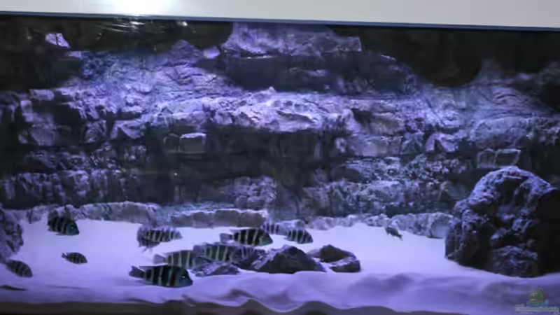 Gesamtansicht von Duni (4)