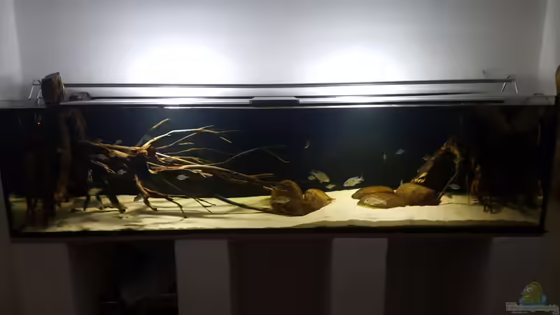 Gesamtansicht von Dustin Freimuth (1)