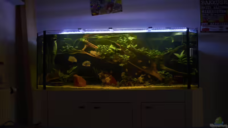 Gesamtansicht von Enrico Friedrich (9)