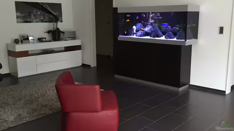 Gesamtansicht von flightsim (1)