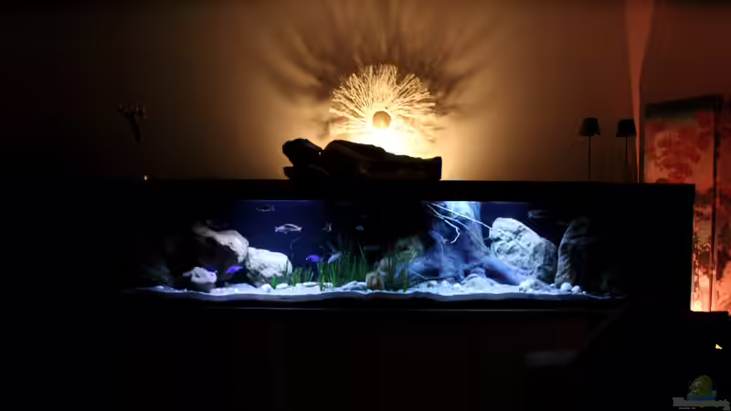 Gesamtansicht von Florian Bandhauer (12)