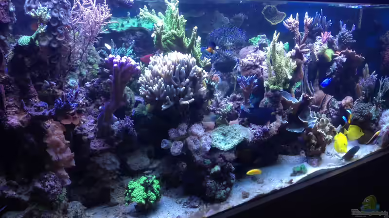 Gesamtansicht von Frank Haipeter (1)