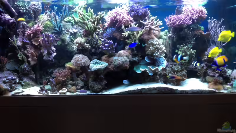 Gesamtansicht von Frank Haipeter (3)