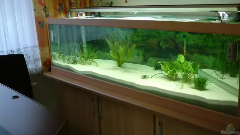 Gesamtansicht von Frank Krüger (2)