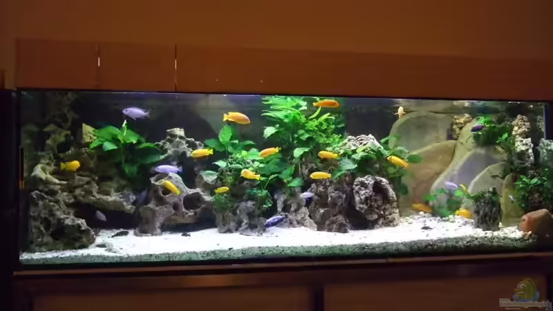 Gesamtansicht von Frank Seifarth (1)