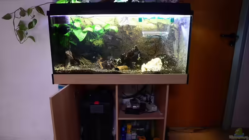 Gesamtansicht von Gallius (2)