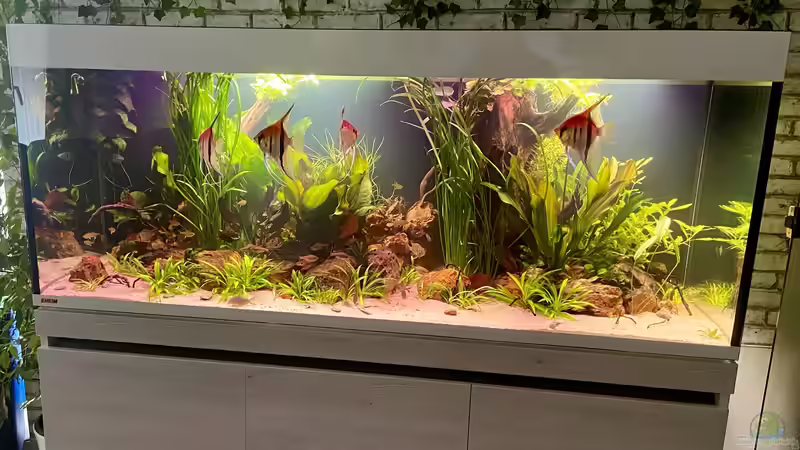 Gesamtansicht von Gernhart (2)