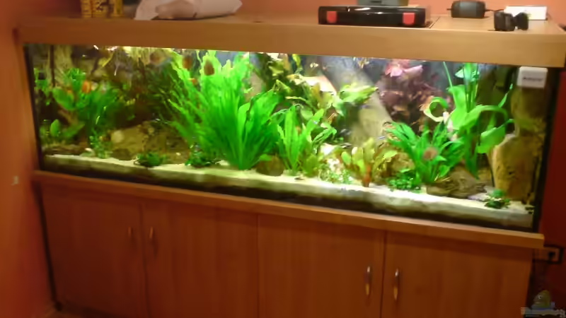 Gesamtansicht von GGuardiaNN (2)