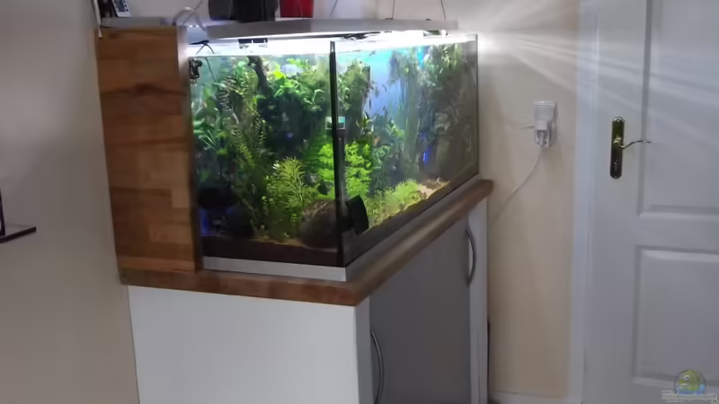 Gesamtansicht von Guppy62 (2)